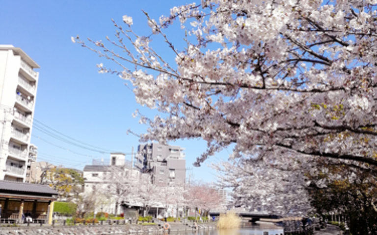 ふなぼり事業所