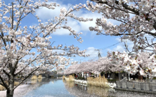 ふなぼり事業所から